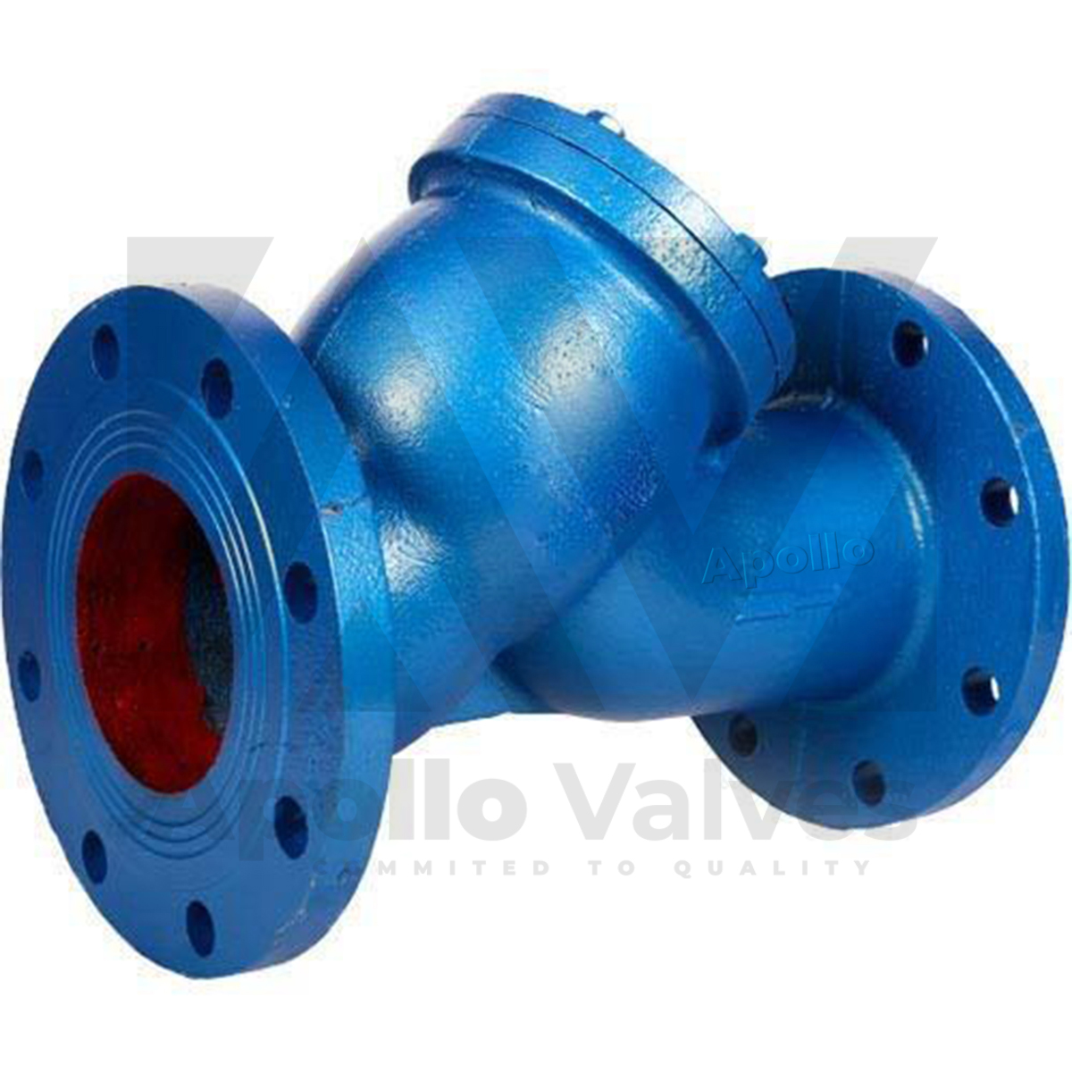 Y Strainer
